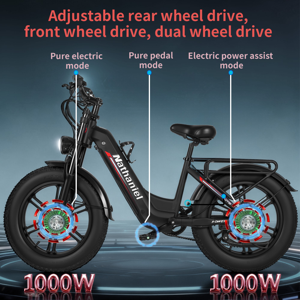 Mountain Biking Gear For Men - 20-Zoll-Elektrofahrrad 2*1000W Motor 48V 20Ah Abnehmbarer